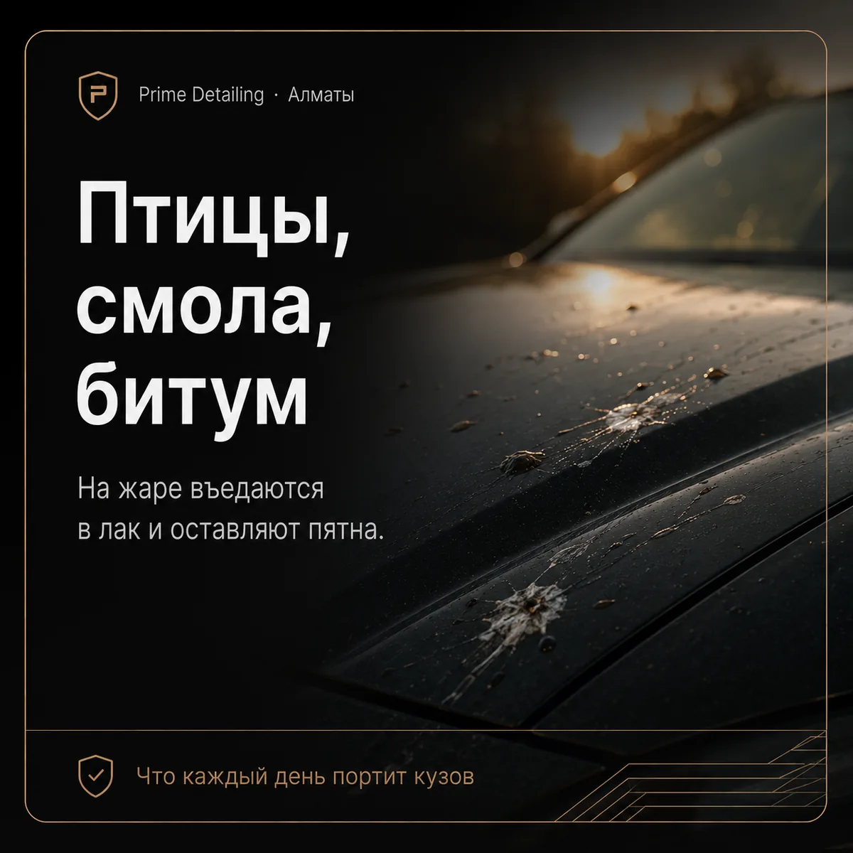 Птицы, смола, насекомые и битум